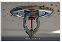 Fire Sprinkler 